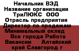 Начальник ВЭД › Название организации ­ ТриЛЮКС, ООО › Отрасль предприятия ­ Директор по продажам › Минимальный оклад ­ 1 - Все города Работа » Вакансии   . Алтайский край,Славгород г.